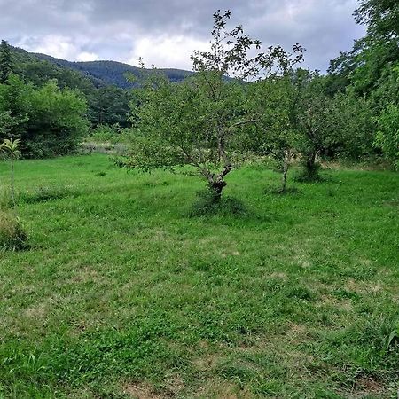 Charmante Roulotte Atypique Jaujac Exteriör bild